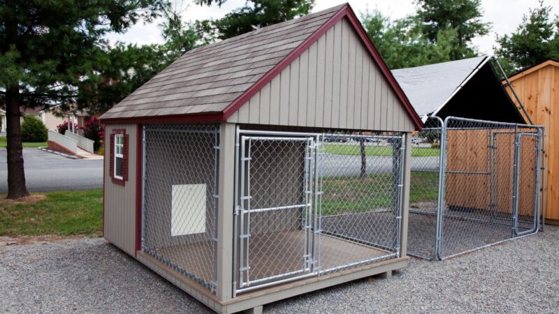 Dog Kennels vs Dog Crates Pros and Cons | Fisher Barns