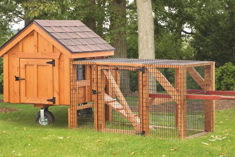 small chicken coop for four hens